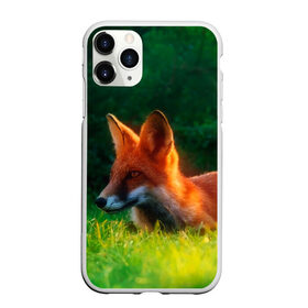 Чехол для iPhone 11 Pro Max матовый с принтом Рыжая лиса в Тюмени, Силикон |  | Тематика изображения на принте: fox | foxy | животное | звери | лиса | лисенок | лисичка | милая | рыжая | фокс