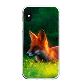 Чехол для iPhone XS Max матовый с принтом Рыжая лиса в Тюмени, Силикон | Область печати: задняя сторона чехла, без боковых панелей | Тематика изображения на принте: fox | foxy | животное | звери | лиса | лисенок | лисичка | милая | рыжая | фокс