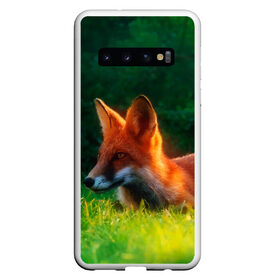 Чехол для Samsung Galaxy S10 с принтом Рыжая лиса в Тюмени, Силикон | Область печати: задняя сторона чехла, без боковых панелей | Тематика изображения на принте: fox | foxy | животное | звери | лиса | лисенок | лисичка | милая | рыжая | фокс