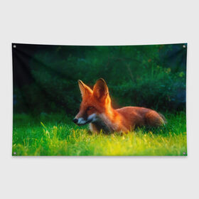 Флаг-баннер с принтом Рыжая лиса в Тюмени, 100% полиэстер | размер 67 х 109 см, плотность ткани — 95 г/м2; по краям флага есть четыре люверса для крепления | fox | foxy | животное | звери | лиса | лисенок | лисичка | милая | рыжая | фокс