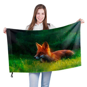 Флаг 3D с принтом Рыжая лиса в Тюмени, 100% полиэстер | плотность ткани — 95 г/м2, размер — 67 х 109 см. Принт наносится с одной стороны | fox | foxy | животное | звери | лиса | лисенок | лисичка | милая | рыжая | фокс
