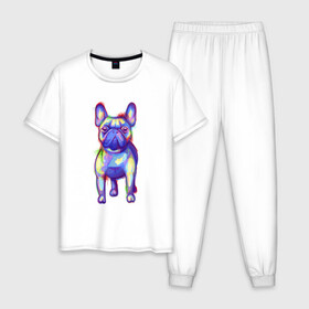 Мужская пижама хлопок с принтом Французский бульдог акварель в Тюмени, 100% хлопок | брюки и футболка прямого кроя, без карманов, на брюках мягкая резинка на поясе и по низу штанин
 | Тематика изображения на принте: art | bulldog | colorful | dog | france | french | illustration | watercolor | акварельный | акварелью | арт | брызги | бульдожик | бульдожка | иллюстрация | краски | пес | песик | порода | разводы | разноцветный | рисунок | собака