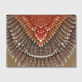 Альбом для рисования с принтом оперение орел (2) в Тюмени, 100% бумага
 | матовая бумага, плотность 200 мг. | feathers | plumage | бурый | друид | индеец | коричневый | оперение | оранжевый | орёл | пернатый | перо | перья | природа | птица | рыжий | сова | сон | ястреб