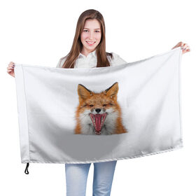 Флаг 3D с принтом Снежная лиса в Тюмени, 100% полиэстер | плотность ткани — 95 г/м2, размер — 67 х 109 см. Принт наносится с одной стороны | Тематика изображения на принте: fox | foxy | животное | звери | лиса | лисенок | лисичка | милая | рыжая | фокс
