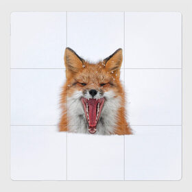 Магнитный плакат 3Х3 с принтом Снежная лиса в Тюмени, Полимерный материал с магнитным слоем | 9 деталей размером 9*9 см | Тематика изображения на принте: fox | foxy | животное | звери | лиса | лисенок | лисичка | милая | рыжая | фокс