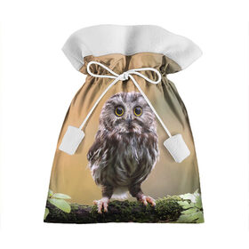 Подарочный 3D мешок с принтом СОВЕНОК в Тюмени, 100% полиэстер | Размер: 29*39 см | animal | bird | животные | звери | лес | малыш | природа | птенец | птицы | сова | совенок