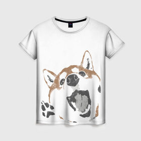 Женская футболка 3D с принтом Shiba Inu в Тюмени, 100% полиэфир ( синтетическое хлопкоподобное полотно) | прямой крой, круглый вырез горловины, длина до линии бедер | shiba inu | сиба ину | собака
