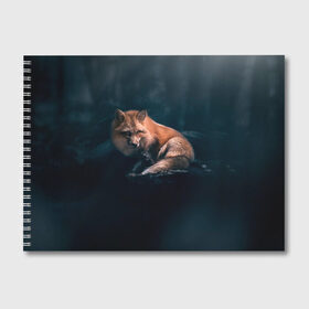 Альбом для рисования с принтом Мудрый лис в Тюмени, 100% бумага
 | матовая бумага, плотность 200 мг. | fox | foxy | животное | звери | лиса | лисенок | лисичка | милая | рыжая | фокс