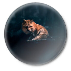 Значок с принтом Мудрый лис в Тюмени,  металл | круглая форма, металлическая застежка в виде булавки | Тематика изображения на принте: fox | foxy | животное | звери | лиса | лисенок | лисичка | милая | рыжая | фокс