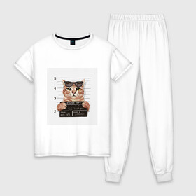Женская пижама хлопок с принтом Арестованный кот в Тюмени, 100% хлопок | брюки и футболка прямого кроя, без карманов, на брюках мягкая резинка на поясе и по низу штанин | арестованный | кот | лапки | очки | преступник | табличка | усы