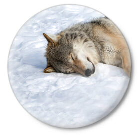 Значок с принтом Спящий Волк в Тюмени,  металл | круглая форма, металлическая застежка в виде булавки | Тематика изображения на принте: animals | wolf | волк | волки | животные | звери | зверь | одиночество | одиночка | пёс | собака | спящий волк