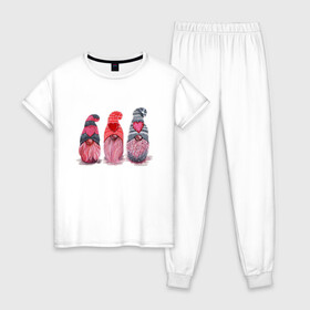 Женская пижама хлопок с принтом Семейка гномов в Тюмени, 100% хлопок | брюки и футболка прямого кроя, без карманов, на брюках мягкая резинка на поясе и по низу штанин | tegunvteg | гномик | гномячье | ученье