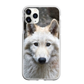 Чехол для iPhone 11 Pro матовый с принтом Волк в Тюмени, Силикон |  | animals | wolf | волк | волки | животные | звери | зверь | луна | одиночество | одиночка | пёс | собака