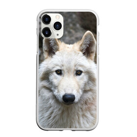 Чехол для iPhone 11 Pro Max матовый с принтом Волк в Тюмени, Силикон |  | animals | wolf | волк | волки | животные | звери | зверь | луна | одиночество | одиночка | пёс | собака