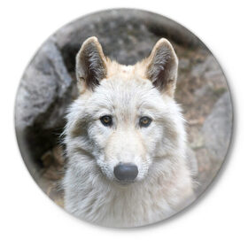 Значок с принтом Волк в Тюмени,  металл | круглая форма, металлическая застежка в виде булавки | Тематика изображения на принте: animals | wolf | волк | волки | животные | звери | зверь | луна | одиночество | одиночка | пёс | собака