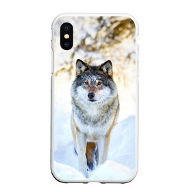 Чехол для iPhone XS Max матовый с принтом Я зимой в Тюмени, Силикон | Область печати: задняя сторона чехла, без боковых панелей | animals | wolf | волк | волки | животные | звери | зверь | луна | одиночество | одиночка | пёс | собака