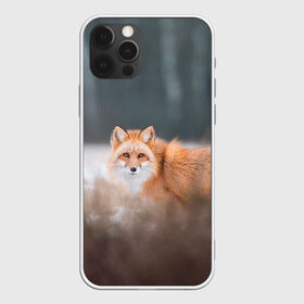 Чехол для iPhone 12 Pro Max с принтом Лиса в Тюмени, Силикон |  | Тематика изображения на принте: fox | foxy | животное | звери | лиса | лисенок | лисичка | милая | рыжая | фокс