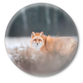 Значок с принтом Лиса в Тюмени,  металл | круглая форма, металлическая застежка в виде булавки | fox | foxy | животное | звери | лиса | лисенок | лисичка | милая | рыжая | фокс