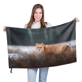 Флаг 3D с принтом Лиса в Тюмени, 100% полиэстер | плотность ткани — 95 г/м2, размер — 67 х 109 см. Принт наносится с одной стороны | fox | foxy | животное | звери | лиса | лисенок | лисичка | милая | рыжая | фокс
