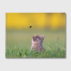 Альбом для рисования с принтом Лисенок и пчелка в Тюмени, 100% бумага
 | матовая бумага, плотность 200 мг. | fox | foxy | животное | звери | лиса | лисенок | лисичка | милая | рыжая | фокс