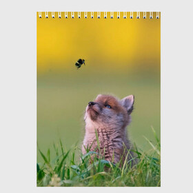 Скетчбук с принтом Лисенок и пчелка в Тюмени, 100% бумага
 | 48 листов, плотность листов — 100 г/м2, плотность картонной обложки — 250 г/м2. Листы скреплены сверху удобной пружинной спиралью | Тематика изображения на принте: fox | foxy | животное | звери | лиса | лисенок | лисичка | милая | рыжая | фокс