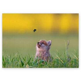 Поздравительная открытка с принтом Лисенок и пчелка в Тюмени, 100% бумага | плотность бумаги 280 г/м2, матовая, на обратной стороне линовка и место для марки
 | Тематика изображения на принте: fox | foxy | животное | звери | лиса | лисенок | лисичка | милая | рыжая | фокс