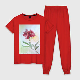 Женская пижама хлопок с принтом Пион в Тюмени, 100% хлопок | брюки и футболка прямого кроя, без карманов, на брюках мягкая резинка на поясе и по низу штанин | tgcarpg | акварель | живопись | искусство | красный | пион | цветок