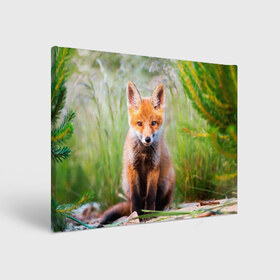 Холст прямоугольный с принтом Лисичка в Тюмени, 100% ПВХ |  | fox | foxy | животное | звери | лиса | лисенок | лисичка | милая | рыжая | фокс