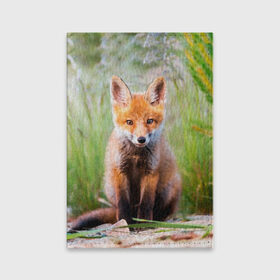 Обложка для паспорта матовая кожа с принтом Лисичка в Тюмени, натуральная матовая кожа | размер 19,3 х 13,7 см; прозрачные пластиковые крепления | fox | foxy | животное | звери | лиса | лисенок | лисичка | милая | рыжая | фокс