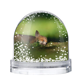 Снежный шар с принтом Сонный лисенок в Тюмени, Пластик | Изображение внутри шара печатается на глянцевой фотобумаге с двух сторон | fox | foxy | животное | звери | лиса | лисенок | лисичка | милая | рыжая | фокс