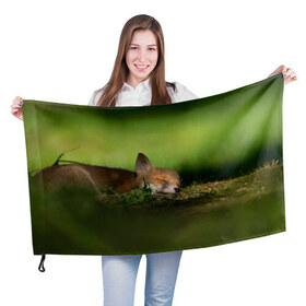 Флаг 3D с принтом Сонный лисенок в Тюмени, 100% полиэстер | плотность ткани — 95 г/м2, размер — 67 х 109 см. Принт наносится с одной стороны | fox | foxy | животное | звери | лиса | лисенок | лисичка | милая | рыжая | фокс