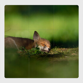 Магнитный плакат 3Х3 с принтом Сонный лисенок в Тюмени, Полимерный материал с магнитным слоем | 9 деталей размером 9*9 см | fox | foxy | животное | звери | лиса | лисенок | лисичка | милая | рыжая | фокс