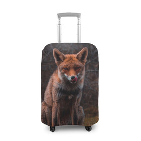 Чехол для чемодана 3D с принтом Хищная лисица в Тюмени, 86% полиэфир, 14% спандекс | двустороннее нанесение принта, прорези для ручек и колес | fox | foxy | животное | звери | лиса | лисенок | лисичка | милая | рыжая | фокс