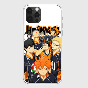 Чехол для iPhone 12 Pro Max с принтом ВОЛЕЙБОЛ!! / HAIKYUU!! в Тюмени, Силикон |  | anime | haikyu | haikyuu | karasuno | аниме | волейбол | ворон | карасуно | манга | мяч | сёё хината