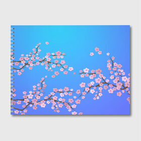 Альбом для рисования с принтом Цветы сакуры в Тюмени, 100% бумага
 | матовая бумага, плотность 200 мг. | 8 марта | вишня | дерево | минимализм | нежность | растение | сакура | флора | цветение | цветок | цветы | япония