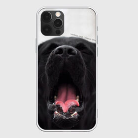 Чехол для iPhone 12 Pro Max с принтом Лабр Марк в Тюмени, Силикон |  | dog | winter | животные | звери | зима | лабрадор | лабрадор ретривер | собаки