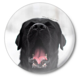 Значок с принтом Лабр Марк в Тюмени,  металл | круглая форма, металлическая застежка в виде булавки | dog | winter | животные | звери | зима | лабрадор | лабрадор ретривер | собаки