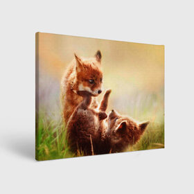 Холст прямоугольный с принтом Лисята играют в Тюмени, 100% ПВХ |  | Тематика изображения на принте: fox | foxy | животное | звери | лиса | лисенок | лисичка | милая | рыжая | фокс