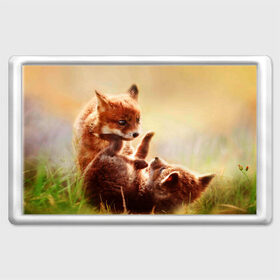 Магнит 45*70 с принтом Лисята играют в Тюмени, Пластик | Размер: 78*52 мм; Размер печати: 70*45 | fox | foxy | животное | звери | лиса | лисенок | лисичка | милая | рыжая | фокс