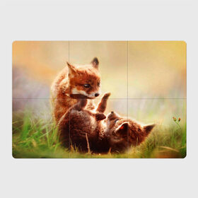 Магнитный плакат 3Х2 с принтом Лисята играют в Тюмени, Полимерный материал с магнитным слоем | 6 деталей размером 9*9 см | fox | foxy | животное | звери | лиса | лисенок | лисичка | милая | рыжая | фокс