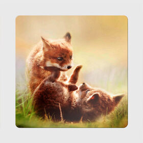 Магнит виниловый Квадрат с принтом Лисята играют в Тюмени, полимерный материал с магнитным слоем | размер 9*9 см, закругленные углы | fox | foxy | животное | звери | лиса | лисенок | лисичка | милая | рыжая | фокс