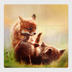 Магнитный плакат 3Х3 с принтом Лисята играют в Тюмени, Полимерный материал с магнитным слоем | 9 деталей размером 9*9 см | Тематика изображения на принте: fox | foxy | животное | звери | лиса | лисенок | лисичка | милая | рыжая | фокс