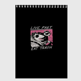 Скетчбук с принтом Live fast Eat trash в Тюмени, 100% бумага
 | 48 листов, плотность листов — 100 г/м2, плотность картонной обложки — 250 г/м2. Листы скреплены сверху удобной пружинной спиралью | eat | fast | live | snap | snap collection | trash | быстро | еда | енот | жизнь | мода | мусор | опоссум | очки