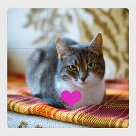 Магнитный плакат 3Х3 с принтом действительно любит меня в Тюмени, Полимерный материал с магнитным слоем | 9 деталей размером 9*9 см | взгляд | кот | кошатникам | любит меня | люблю его | люблю котов | одиночкам | плед | романтика | сердечко | сердце | уют