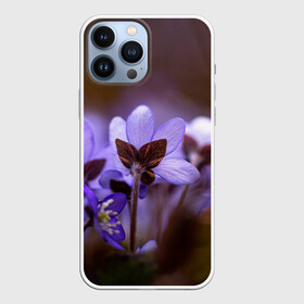 Чехол для iPhone 13 Pro Max с принтом хрупкий цветок фиалка в Тюмени,  |  | Тематика изображения на принте: flowers | весна | лиловый | макро | нежный | природа | рост | свежесть | сиреневый | фиолетовый | хрупкий | цветик | цветок | цветочек | цветы