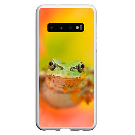 Чехол для Samsung Galaxy S10 с принтом лягушка в цветке мило в Тюмени, Силикон | Область печати: задняя сторона чехла, без боковых панелей | жаба | жабка | земноводное | ква | квакуха | лягушенок | лягушка | макро | мило | природа | пыльца | цветок