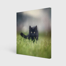 Холст квадратный с принтом черный кот на лугу в Тюмени, 100% ПВХ |  | взгляд | внутренний | глаза | животные | звери | зверь | кот | котейка | котик | коты | котэ | кошки | лапы | нос | образ | прыжок | смотрит в душу | усы | уши | черный | черныш | шерсть