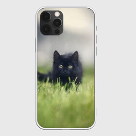 Чехол для iPhone 12 Pro Max с принтом черный кот на лугу в Тюмени, Силикон |  | взгляд | внутренний | глаза | животные | звери | зверь | кот | котейка | котик | коты | котэ | кошки | лапы | нос | образ | прыжок | смотрит в душу | усы | уши | черный | черныш | шерсть
