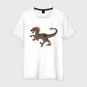 Мужская футболка хлопок с принтом Раптор в Тюмени, 100% хлопок | прямой крой, круглый вырез горловины, длина до линии бедер, слегка спущенное плечо. | дино | динозавр | динозавры | животные | звери | охотники динозавры | раптор | рапторы | тиранозавр | хищники животные