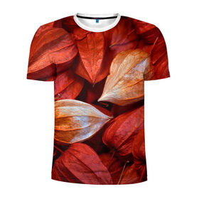 Мужская футболка 3D спортивная с принтом прекрасный красный физалис в Тюмени, 100% полиэстер с улучшенными характеристиками | приталенный силуэт, круглая горловина, широкие плечи, сужается к линии бедра | красноватый | красные коробочки | красный | листья | осень | прикольный | природа | растения | текстура | теплый | фезалис | физалис | фонарики